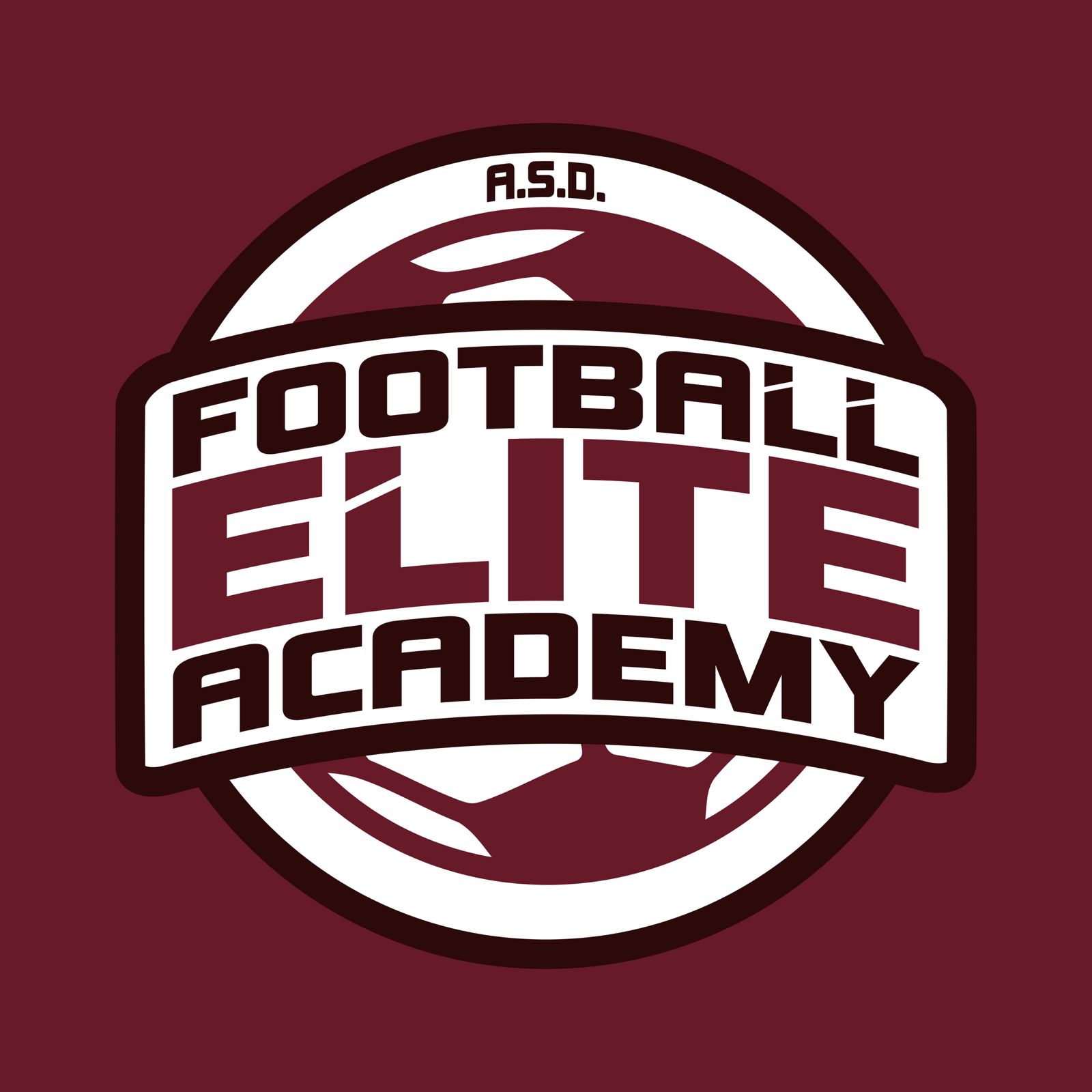 Football Elite Academy